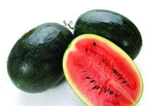 黑瓜吃料正能量155,传递阳光，收获希望