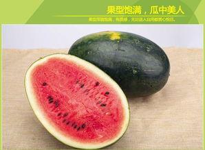 155fun黑瓜吃料下载,轻松获取海量资源，畅享娱乐新体验